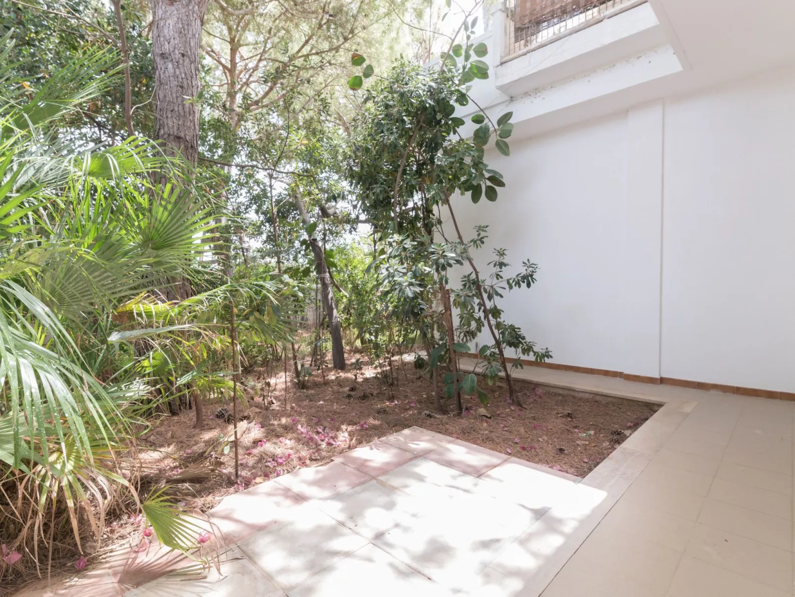 Villa Coralia-Image-tags.info