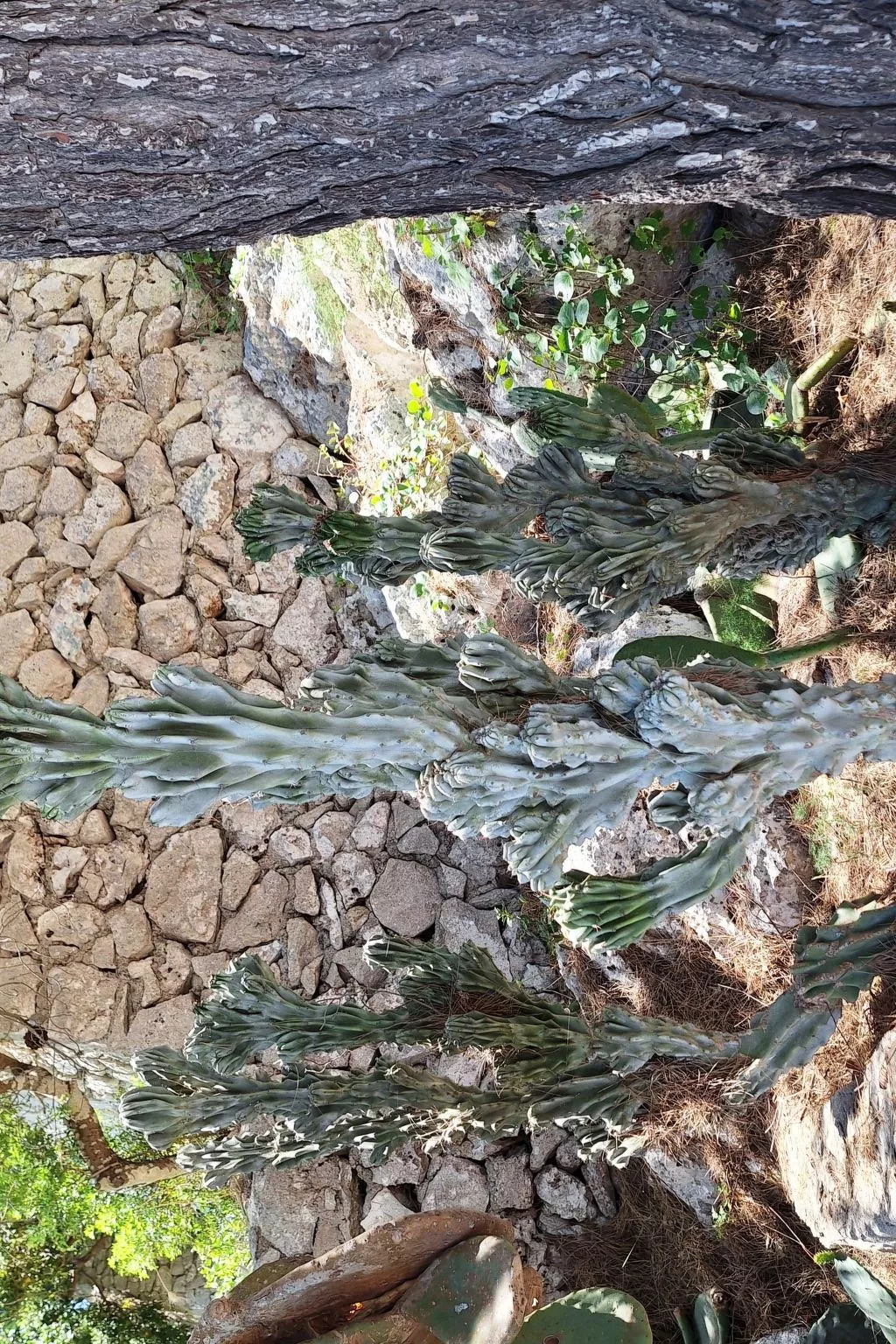 'Villa Rizzo' mit Terrasse-Image-tags.info