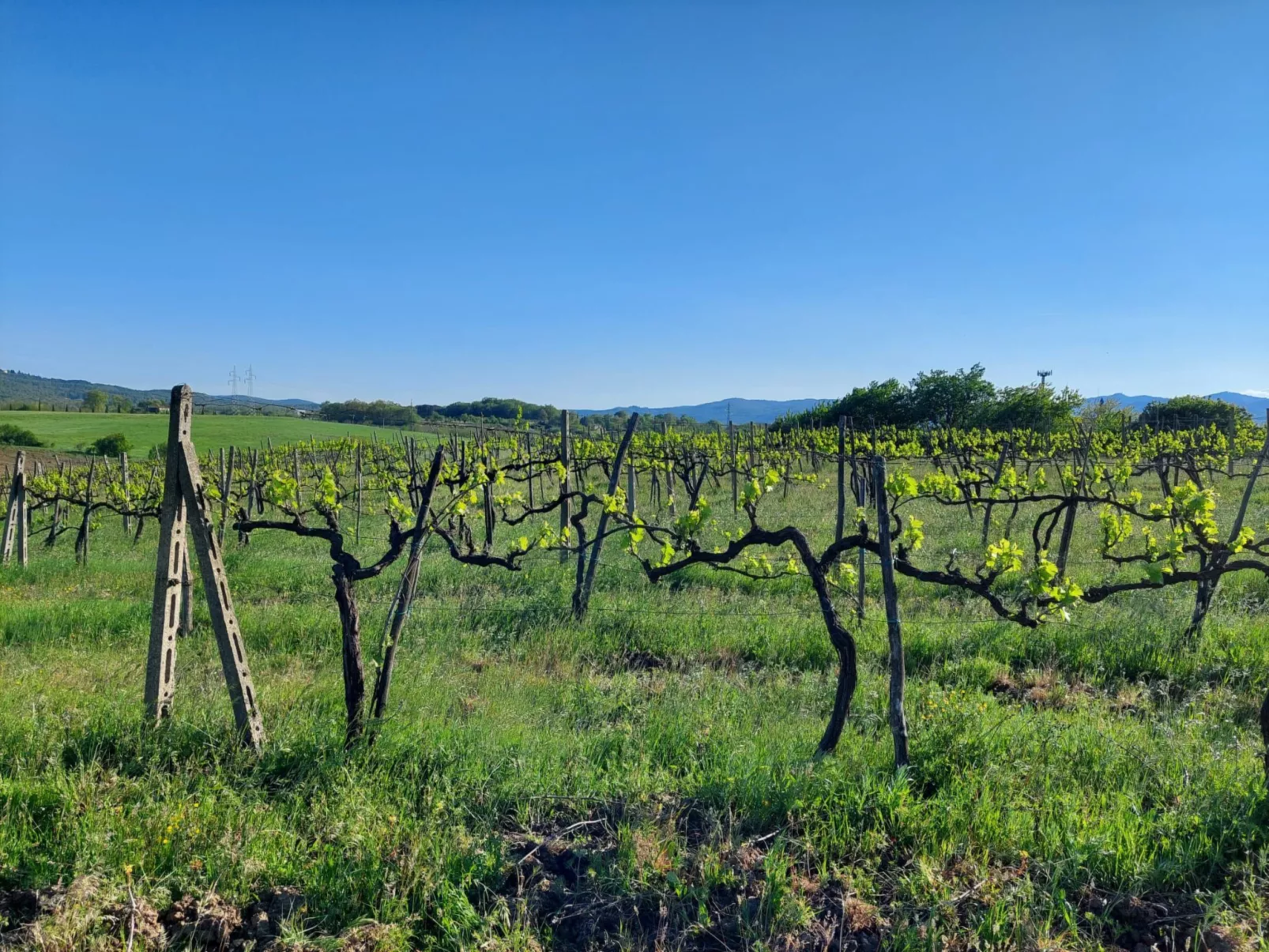 Wohnung in gemütlichem kleinen Bauernhaus-Outside