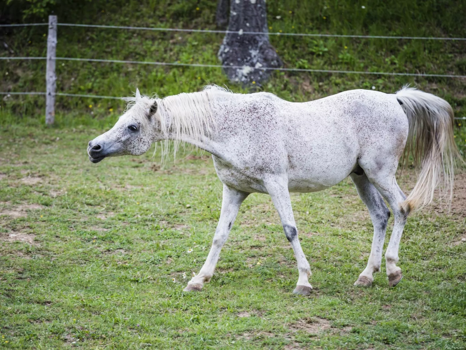 'Case Cioni-Focolare'.-Draußen