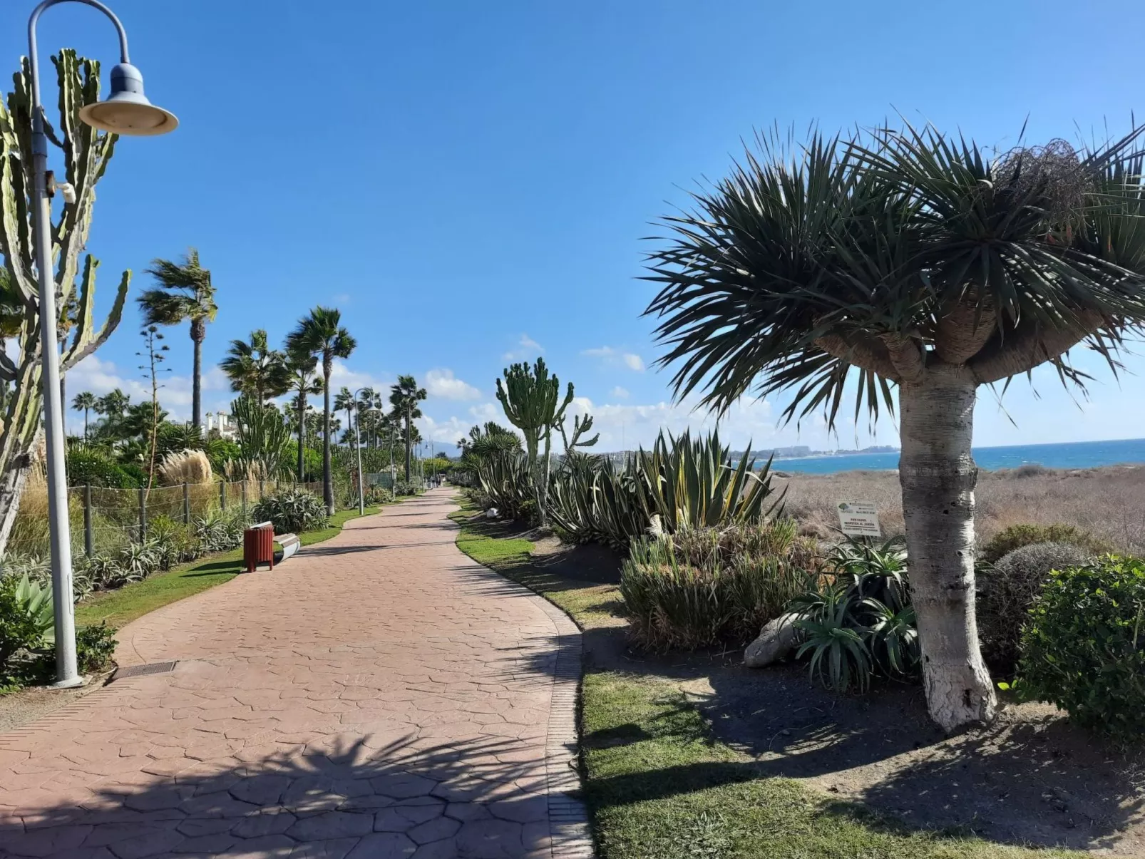 Kaehe's Paradise-Outside