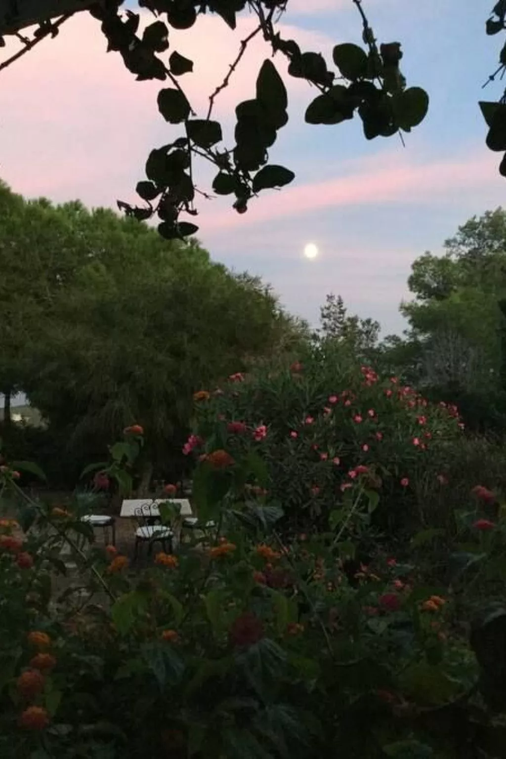 'Luciana' mit Wasserblick-Image-tags.info