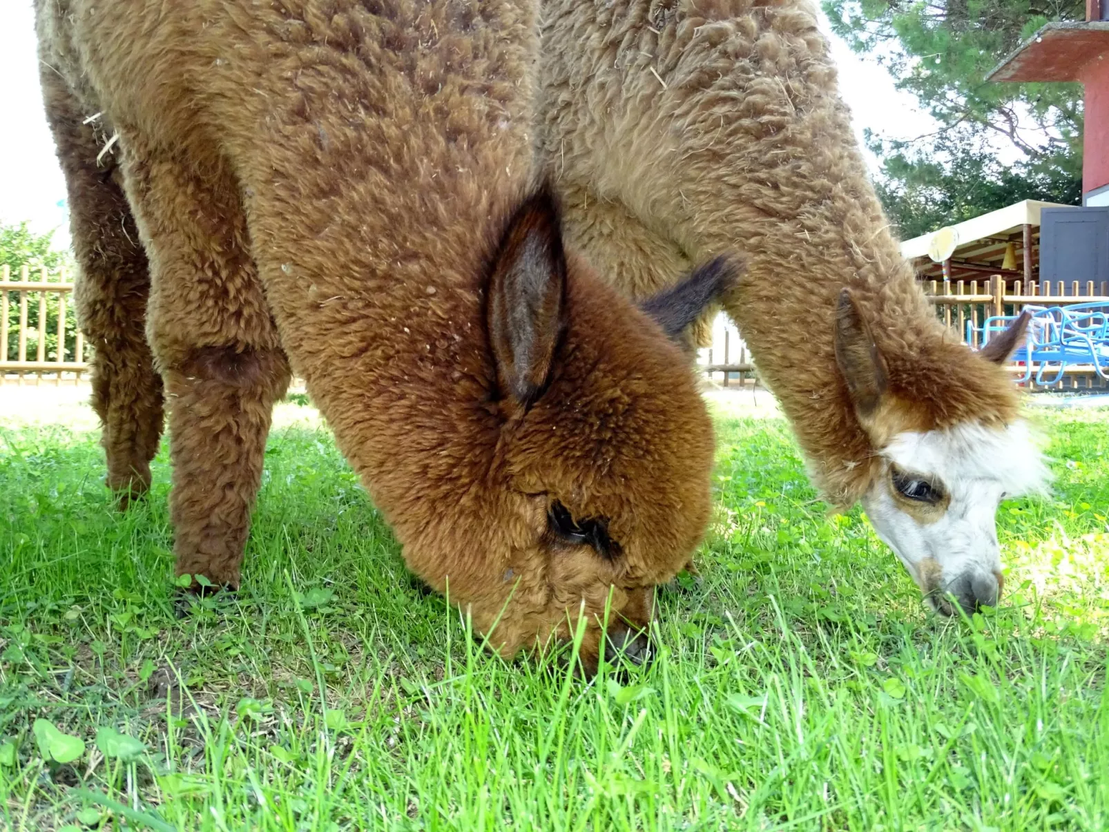 Ein Urlaub im Grünen-Dehors