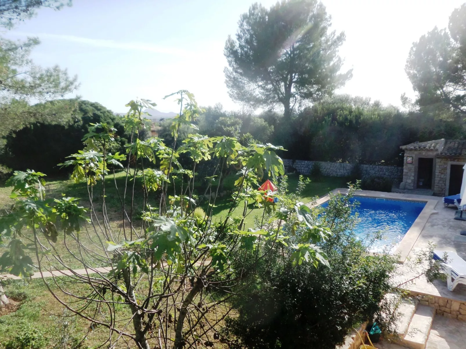 Finca Casa Alba - großer Außenbereich für Kinder-Draußen