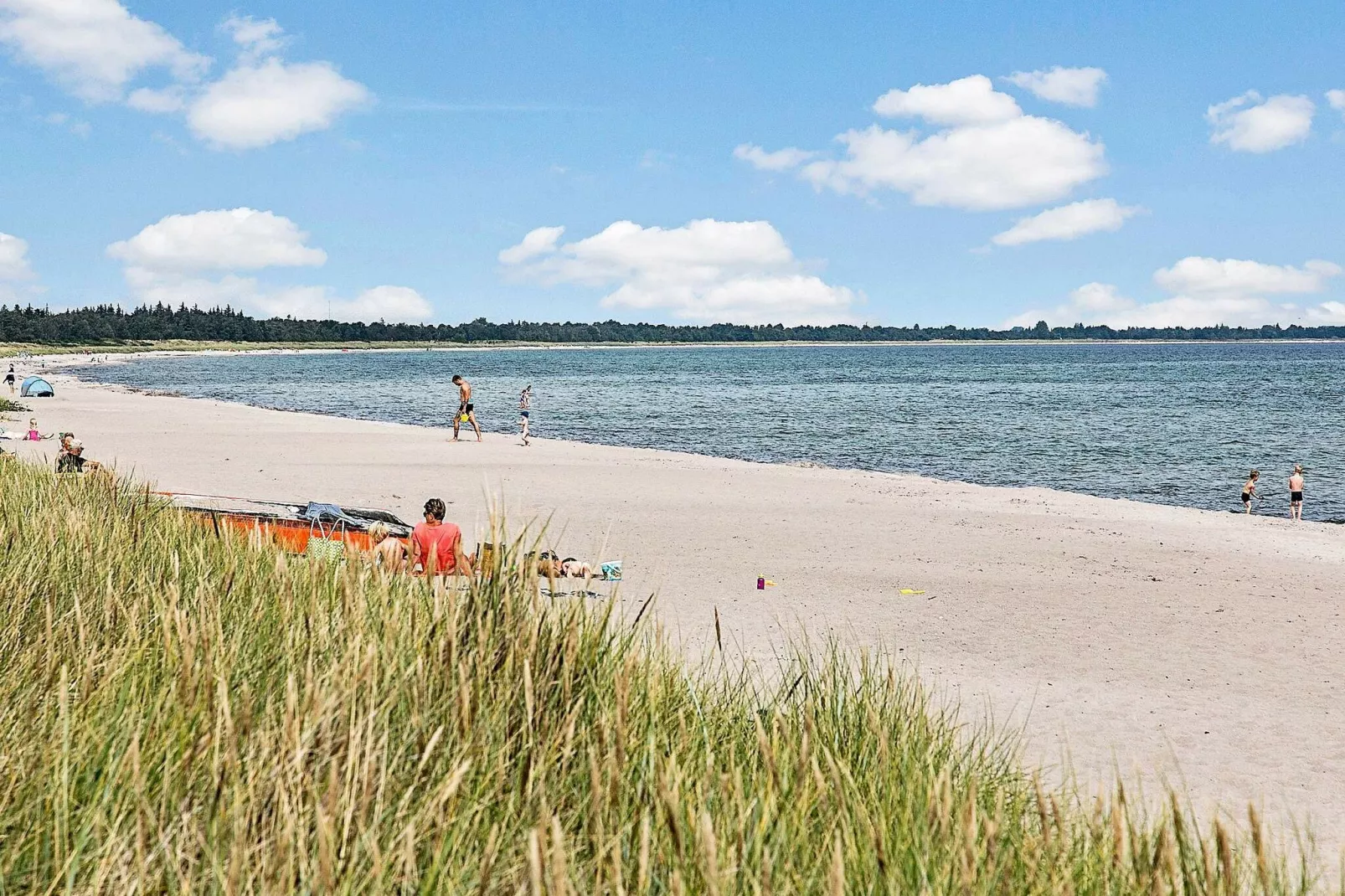 12 Personen Ferienhaus in Væggerløse