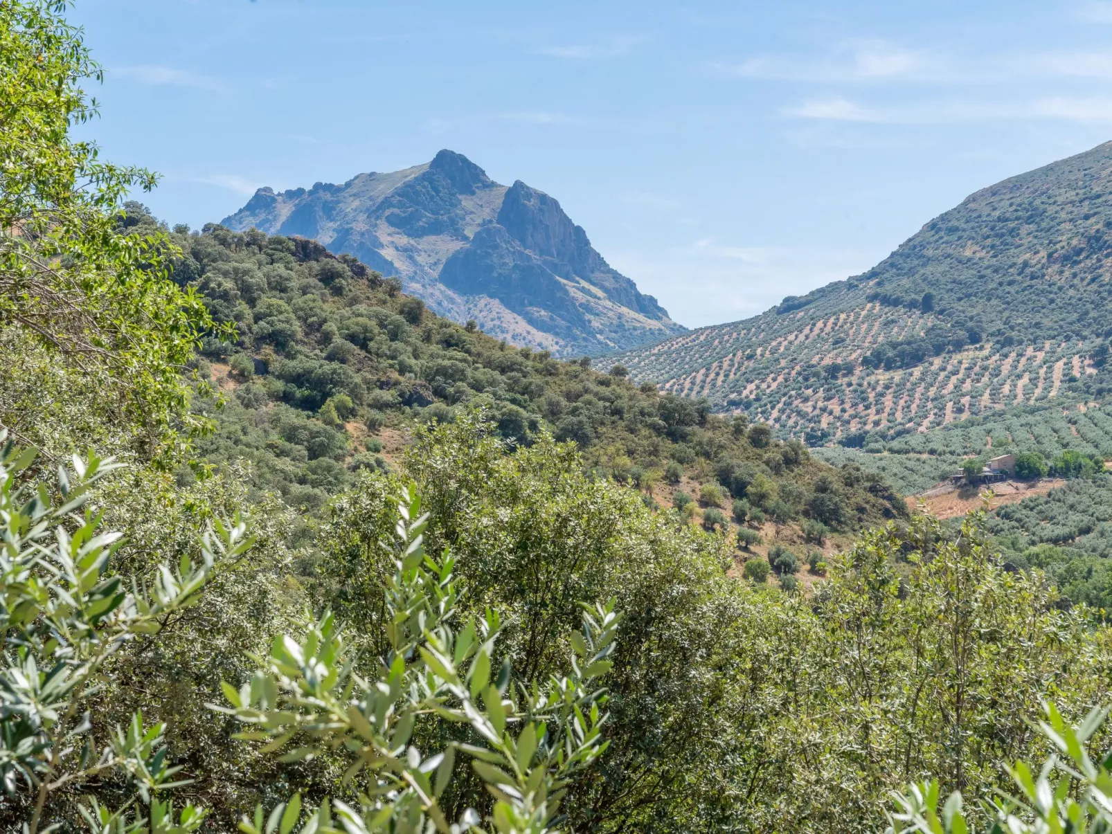 Cerro de la Cruz,charmantes Bauernhaus mit bester Aussicht,im Zentrum Andalusie-Dehors