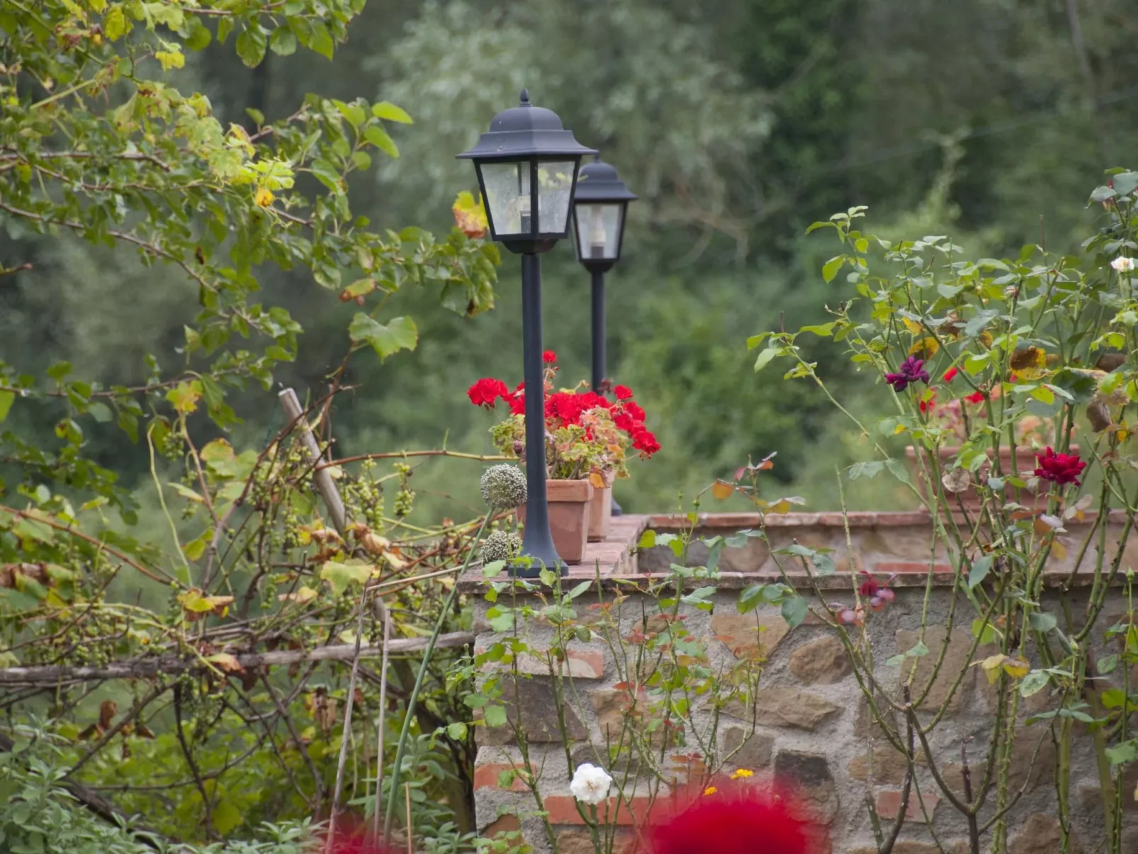 Apartment Rosa Canina (Wilde Rose)-Outside