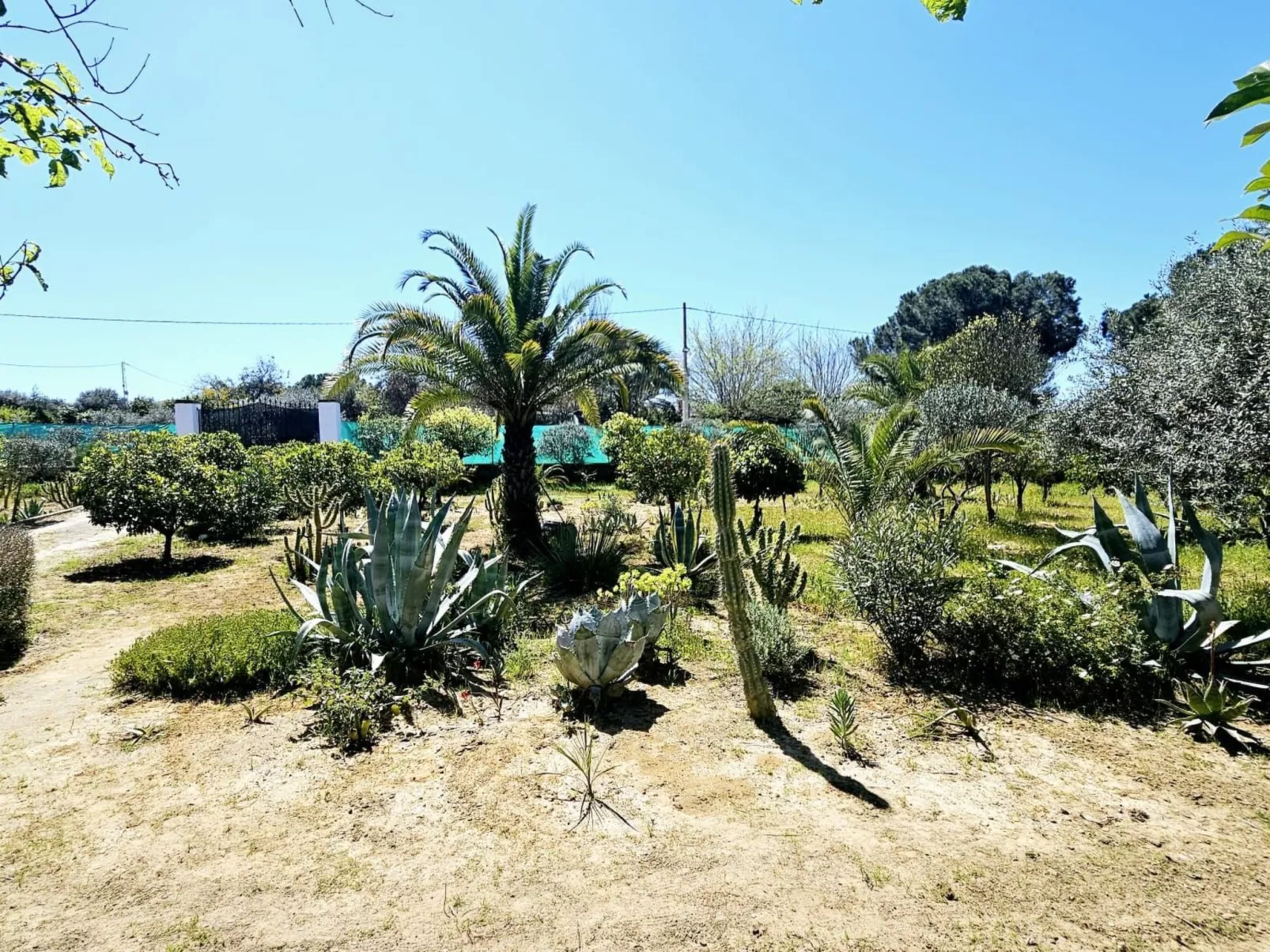 Landhaus Villa Moral-Outside