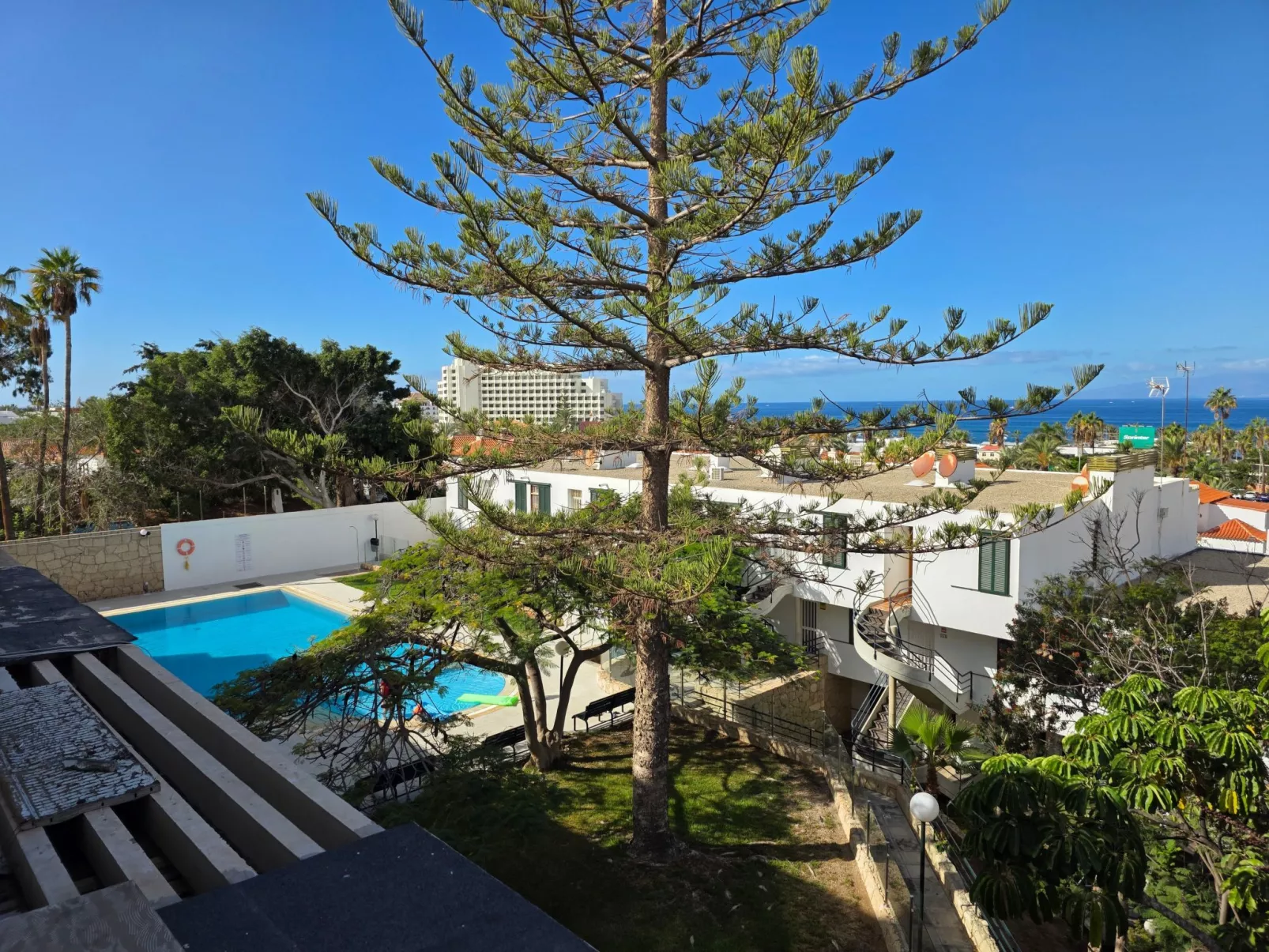 Jacaranda am Meer-Outside