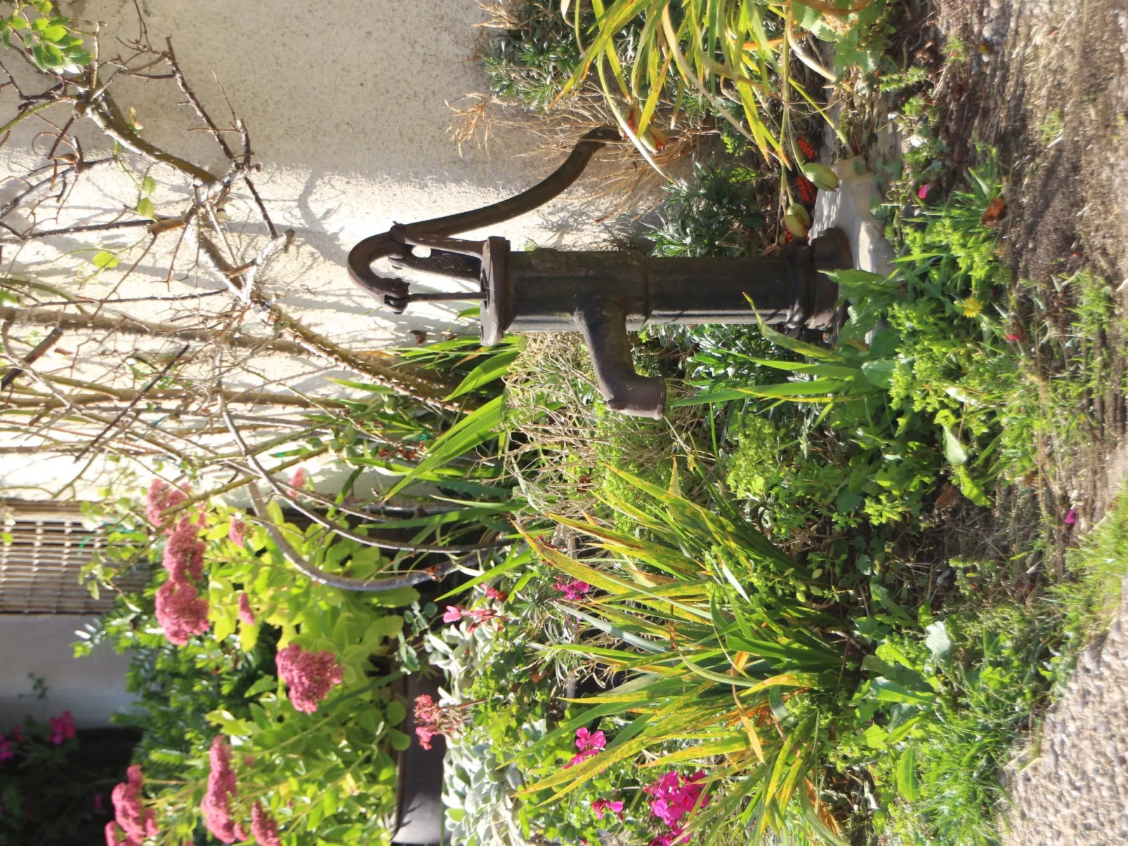 The Nest-Image-tags.info