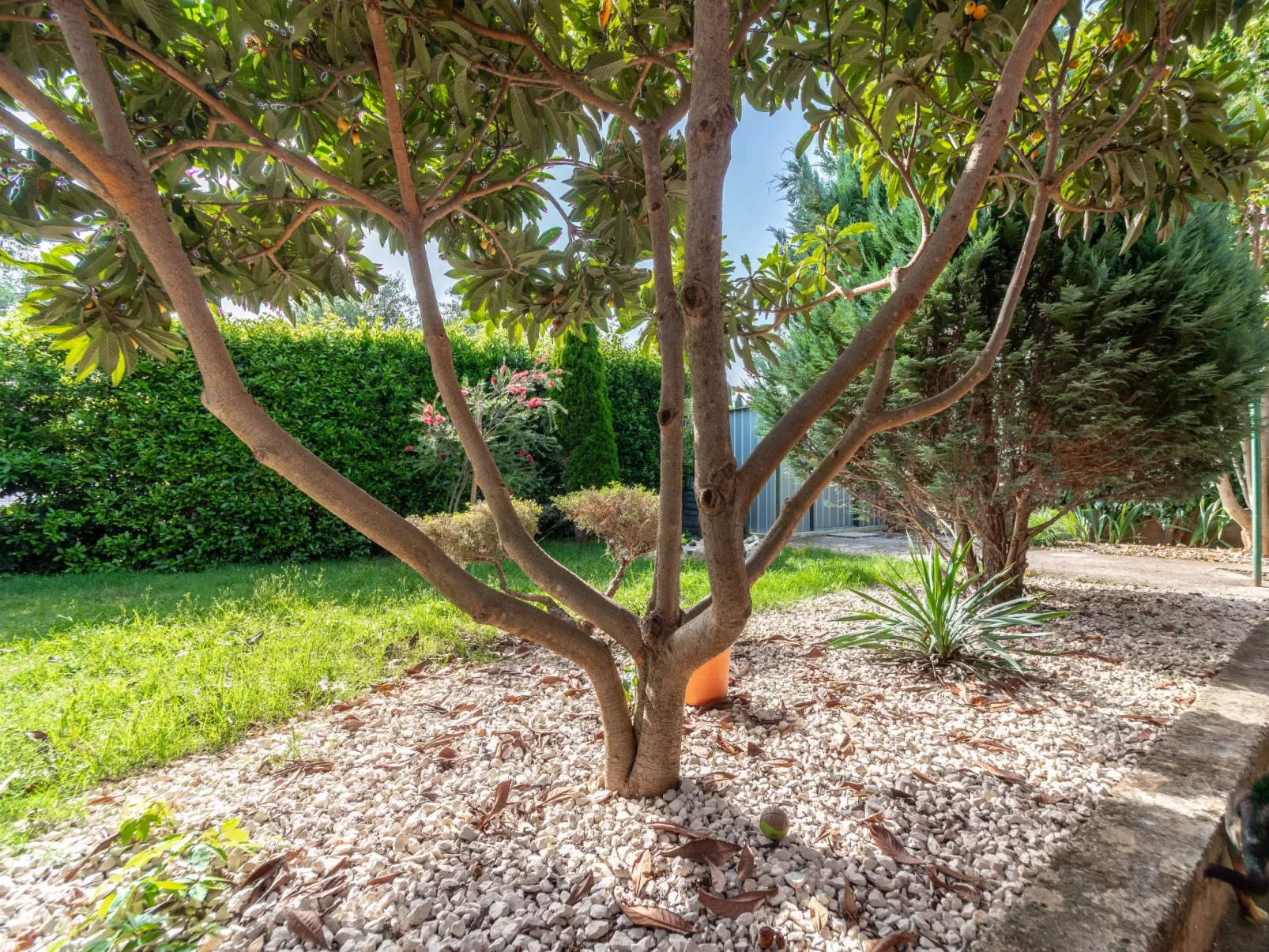 Apartment "Arijana2" mit privater Terrasse-Outside