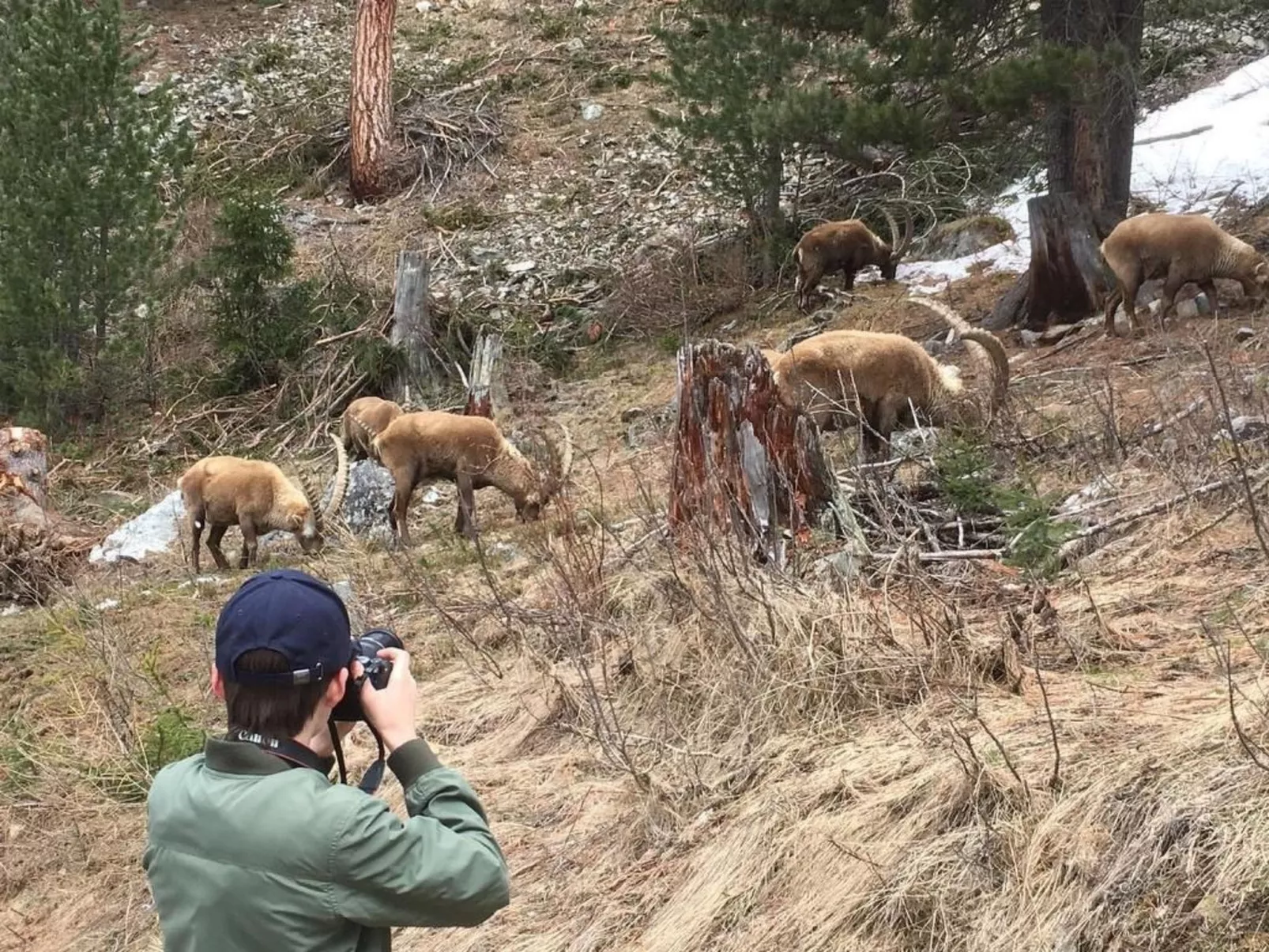 Chesa Andrea, EG-Outside