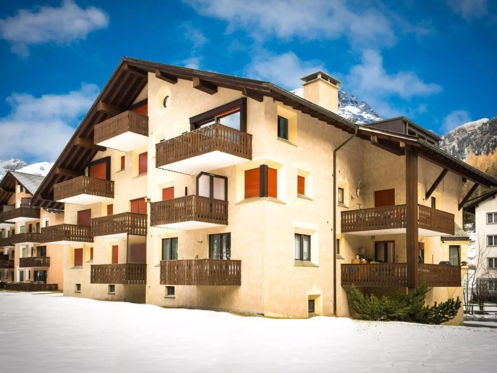 Curtins18-Image-tags.info