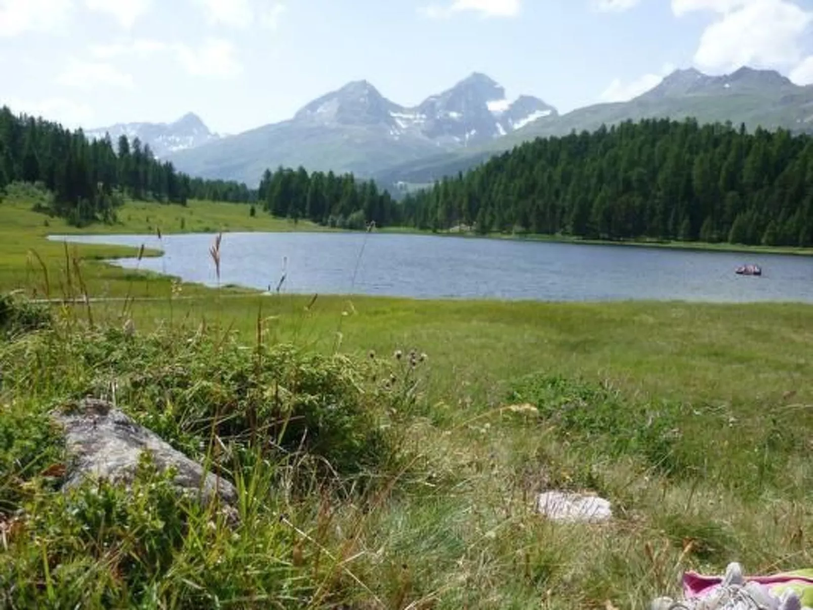 Chesa Basilisk 1 - ÖV inklusive-Image-tags.info