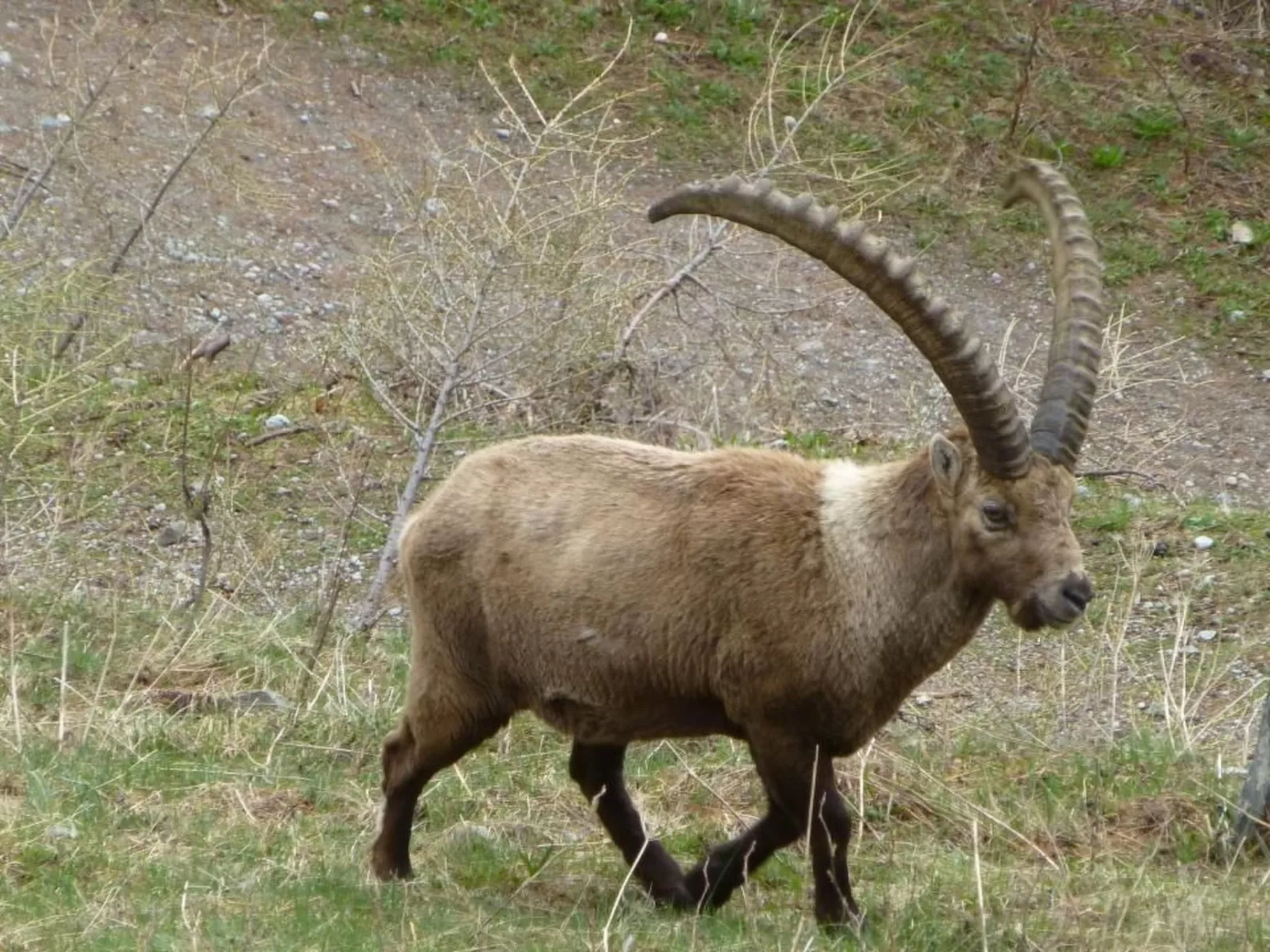 Chesa Vista Mezdi-Draußen