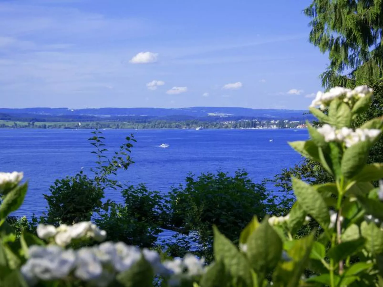 Mit Garten im schönen Tannheim-Draußen