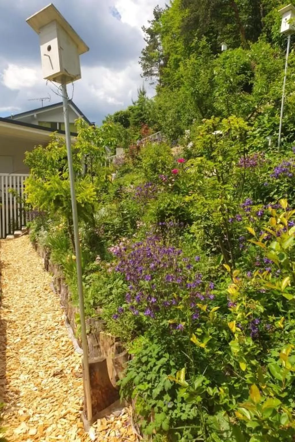 Black & White-Outside