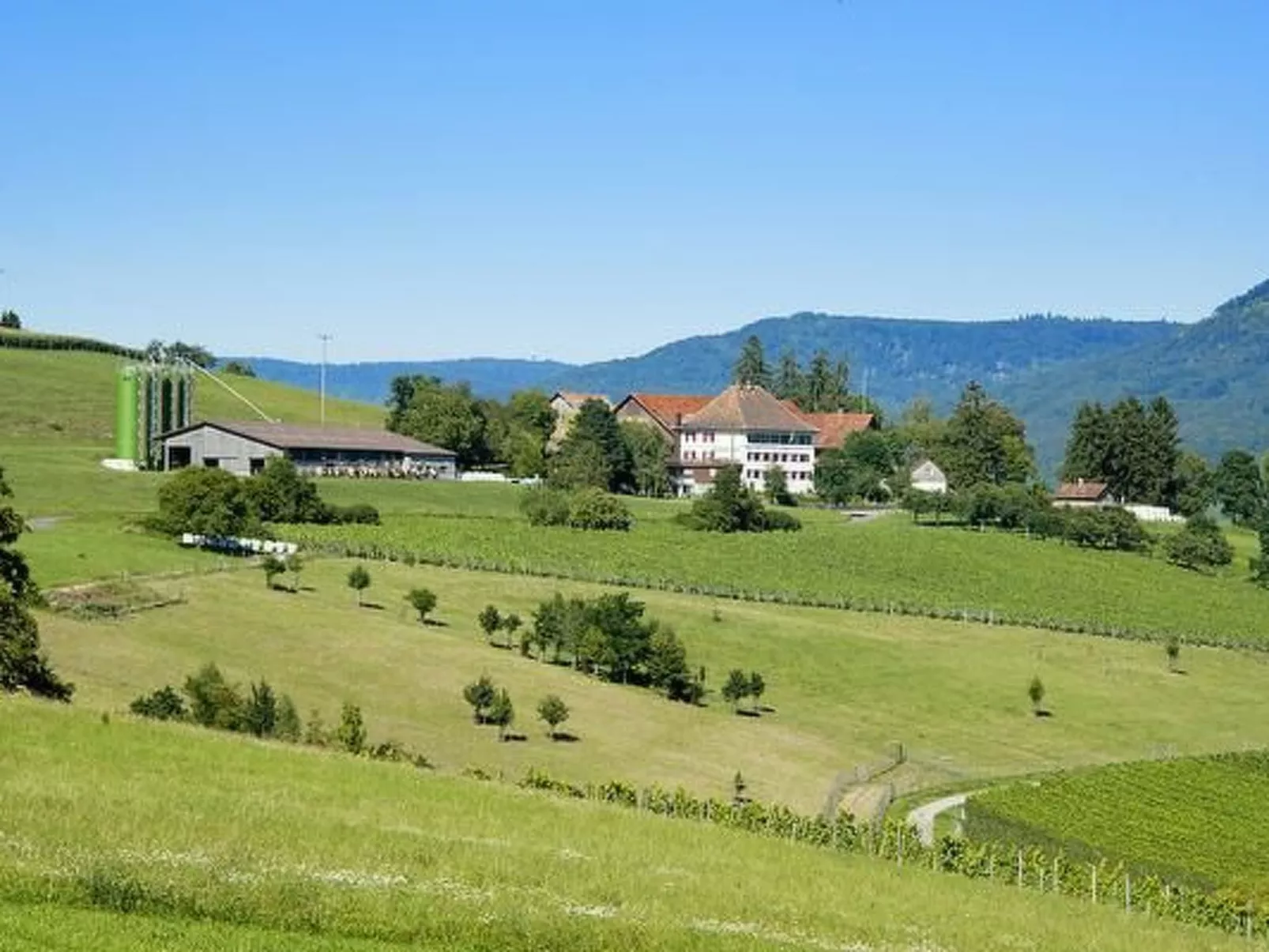 Berghof Hallau kleine Ferienwohnung-Outside