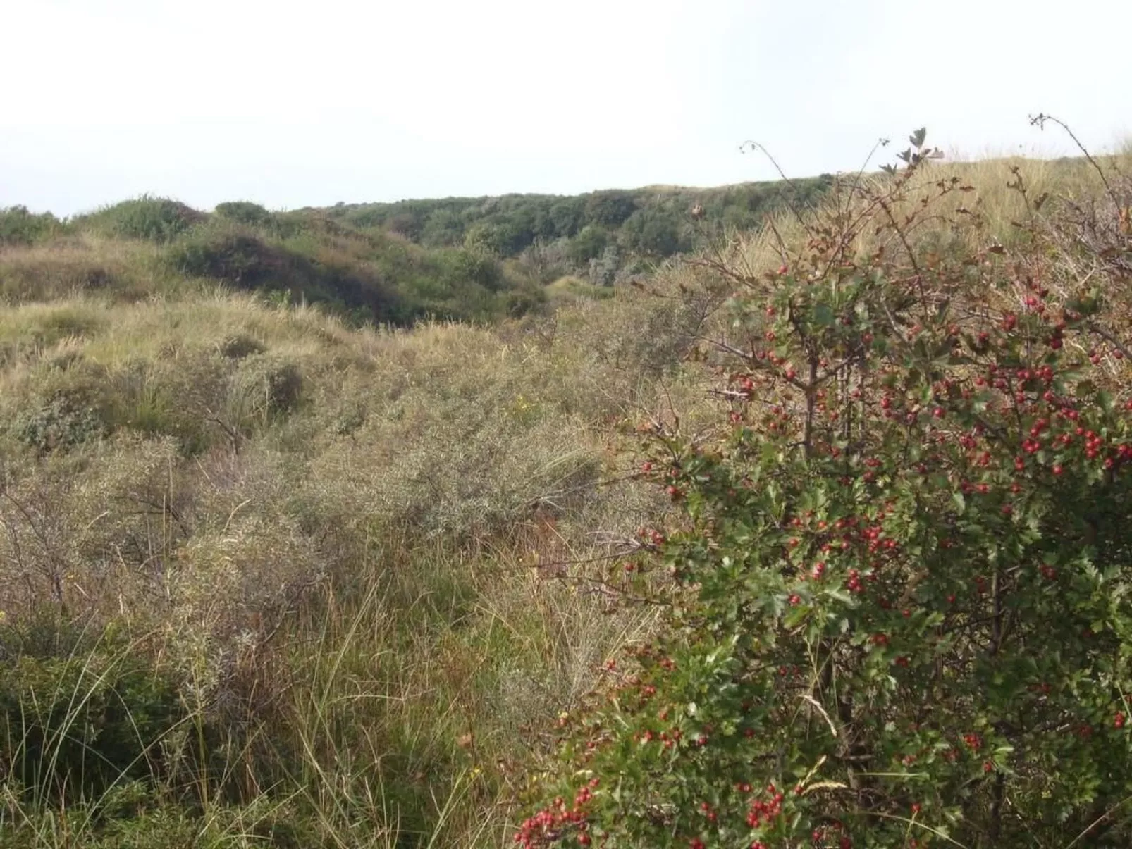 Strandhaus direkt am Meer-Outside