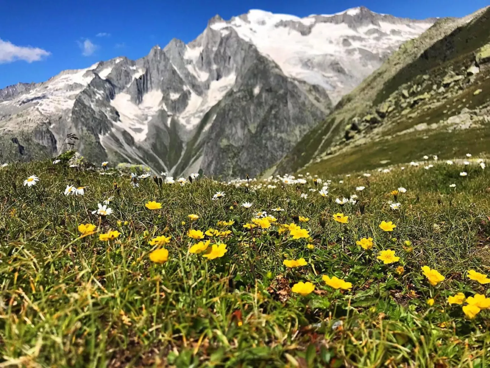 Spycher Niederwald-Image-tags.info