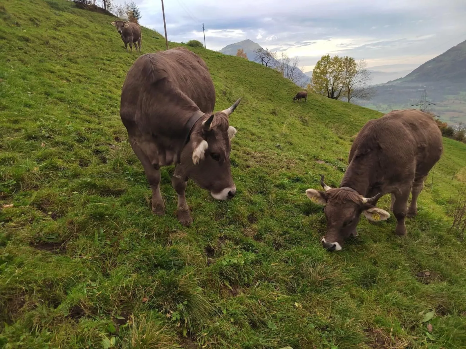 Biohof Langberg-Outside