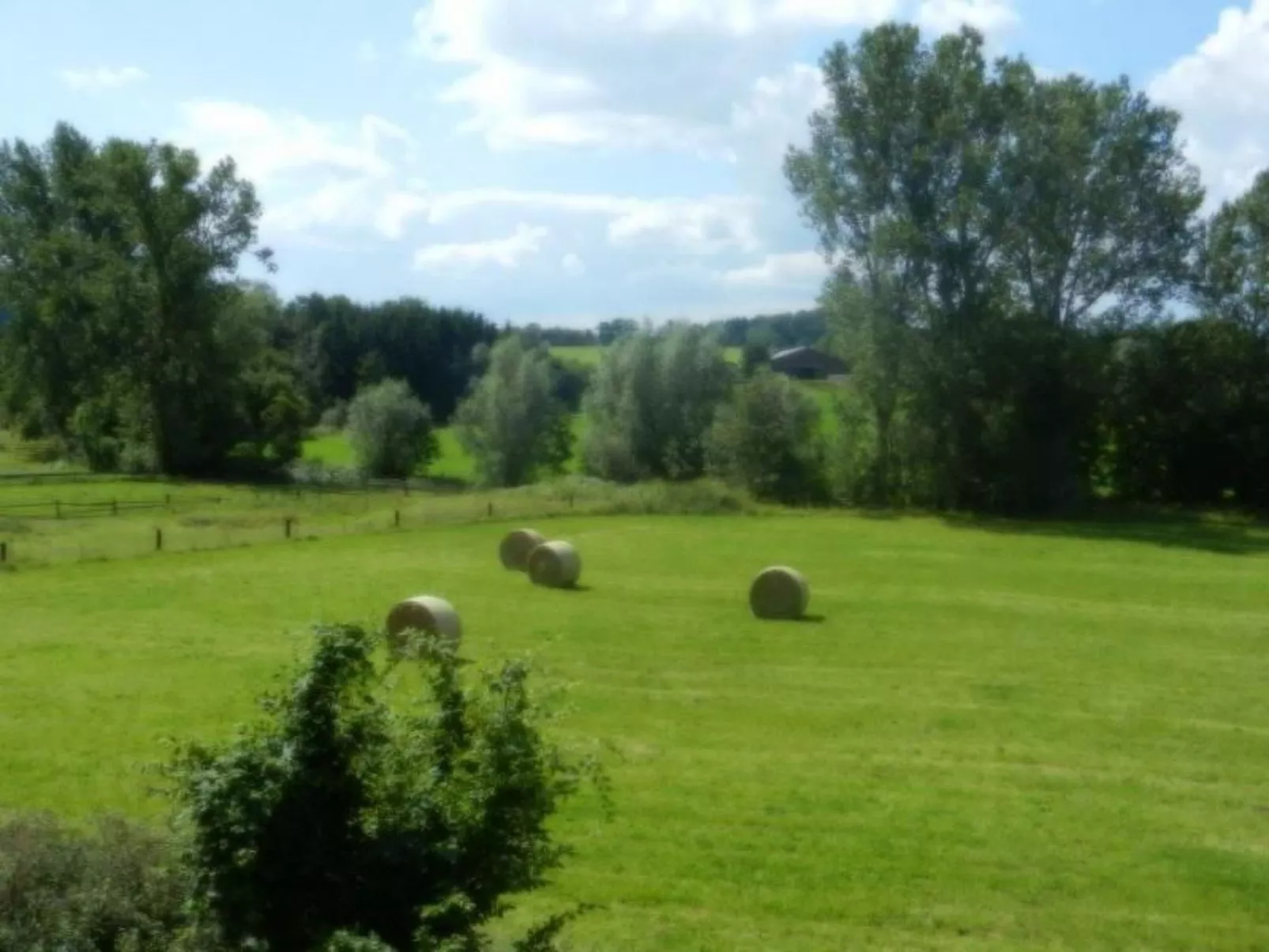 Im Teutoburger Wald-Image-tags.info