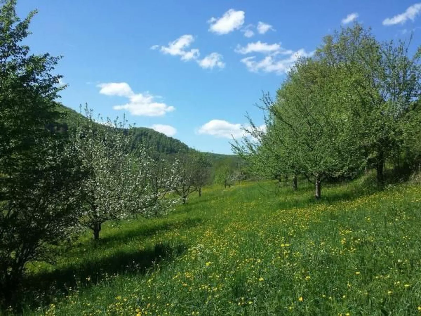 Ferienwohng. Susanne-Outside