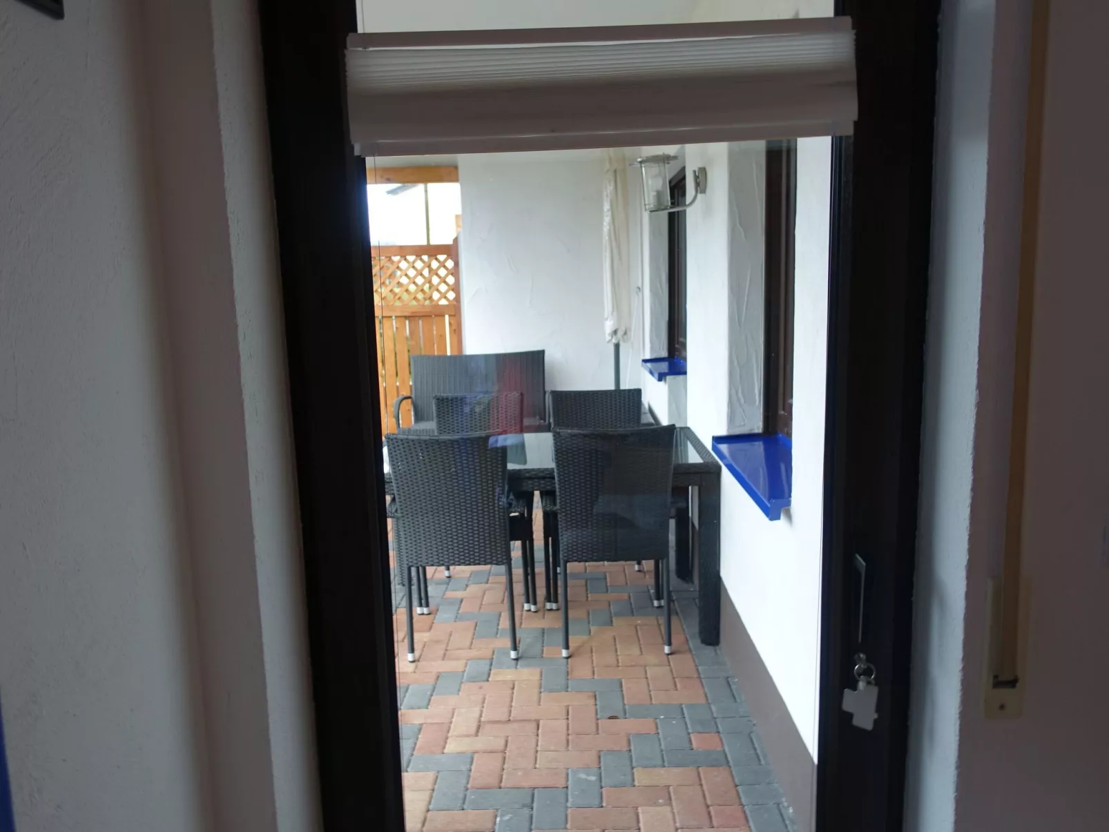 Zoe - Image-tags.info