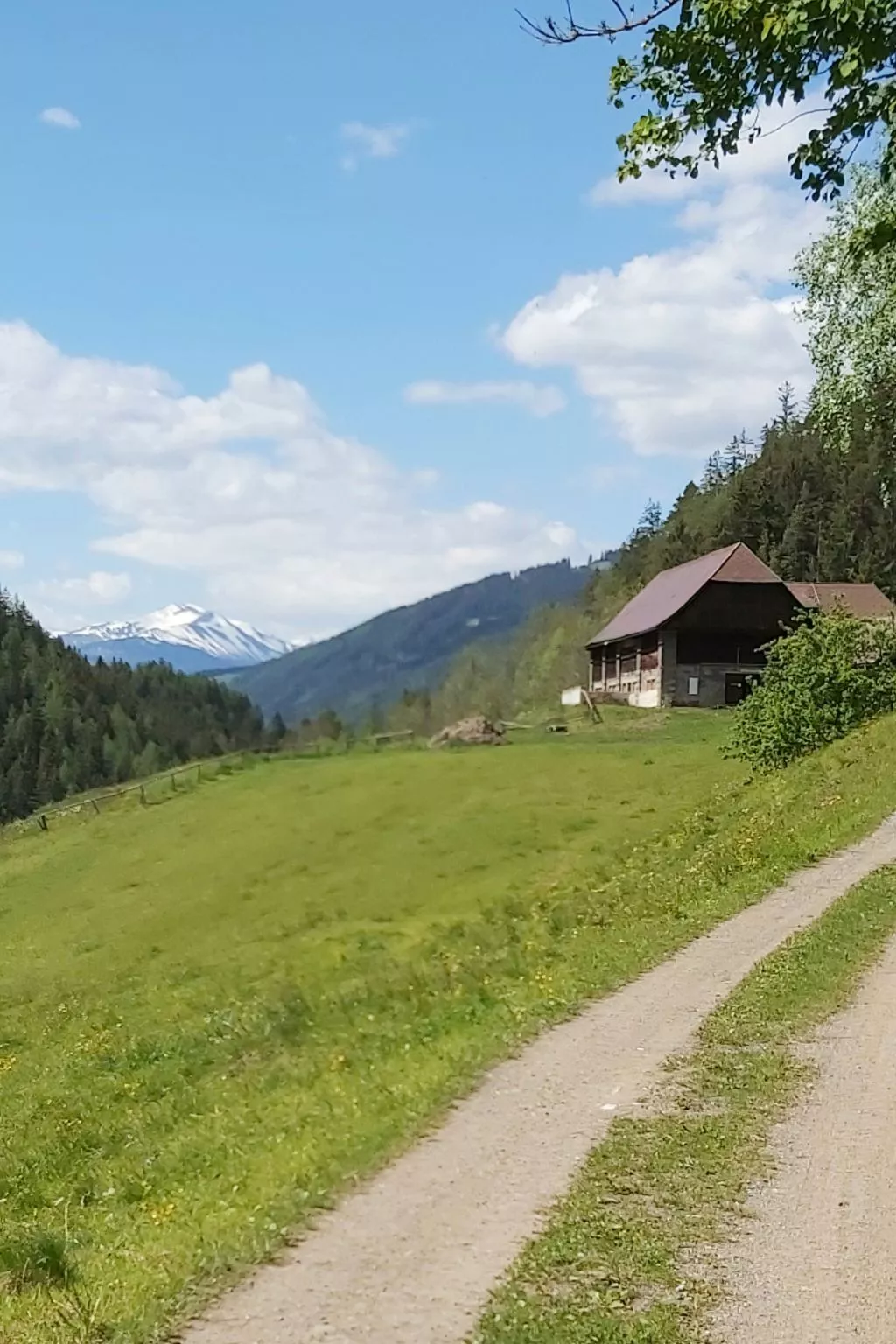 Moderne Wohnung in Pöls mit großer Terrasse-Outside