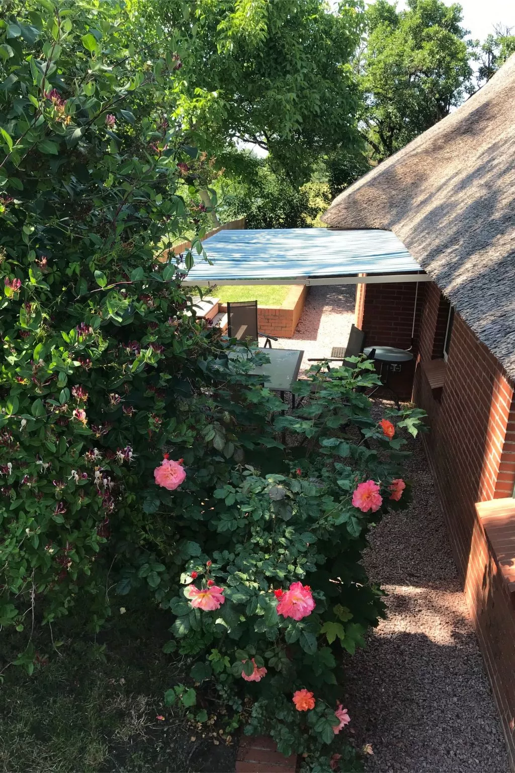 Gemütliches Reetdachhaus in Schleswig-Holstein