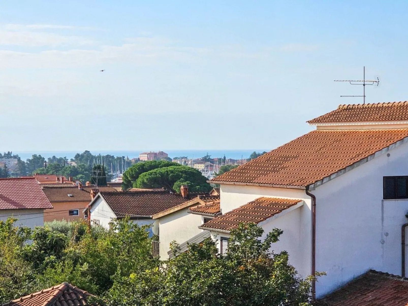 Natasa 2-Image-tags.info