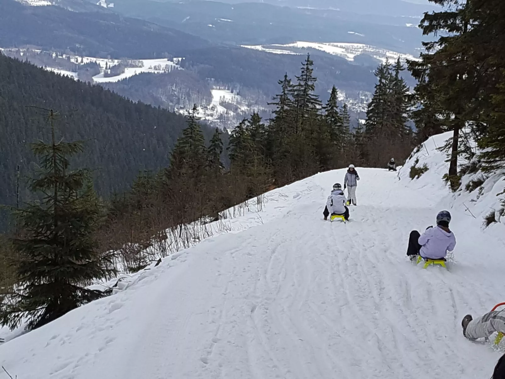 In natürlicher Umgebung-Draußen