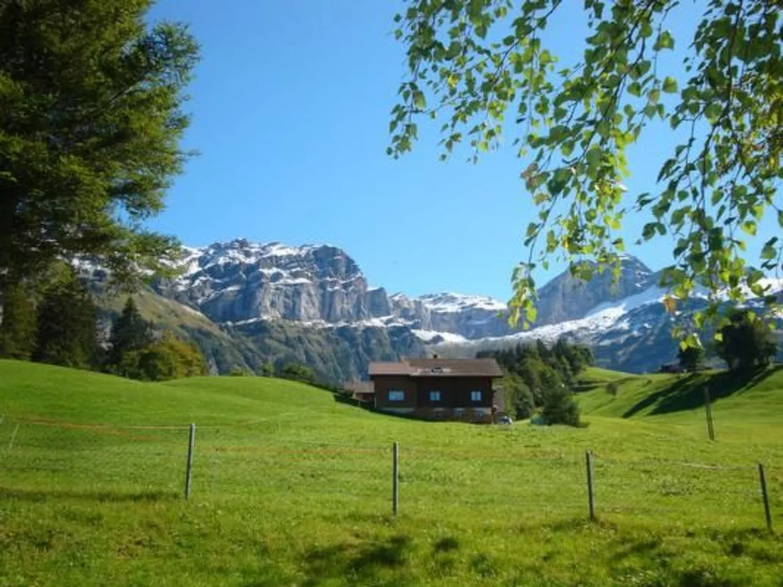 Ferien im grünen rechts-Dehors