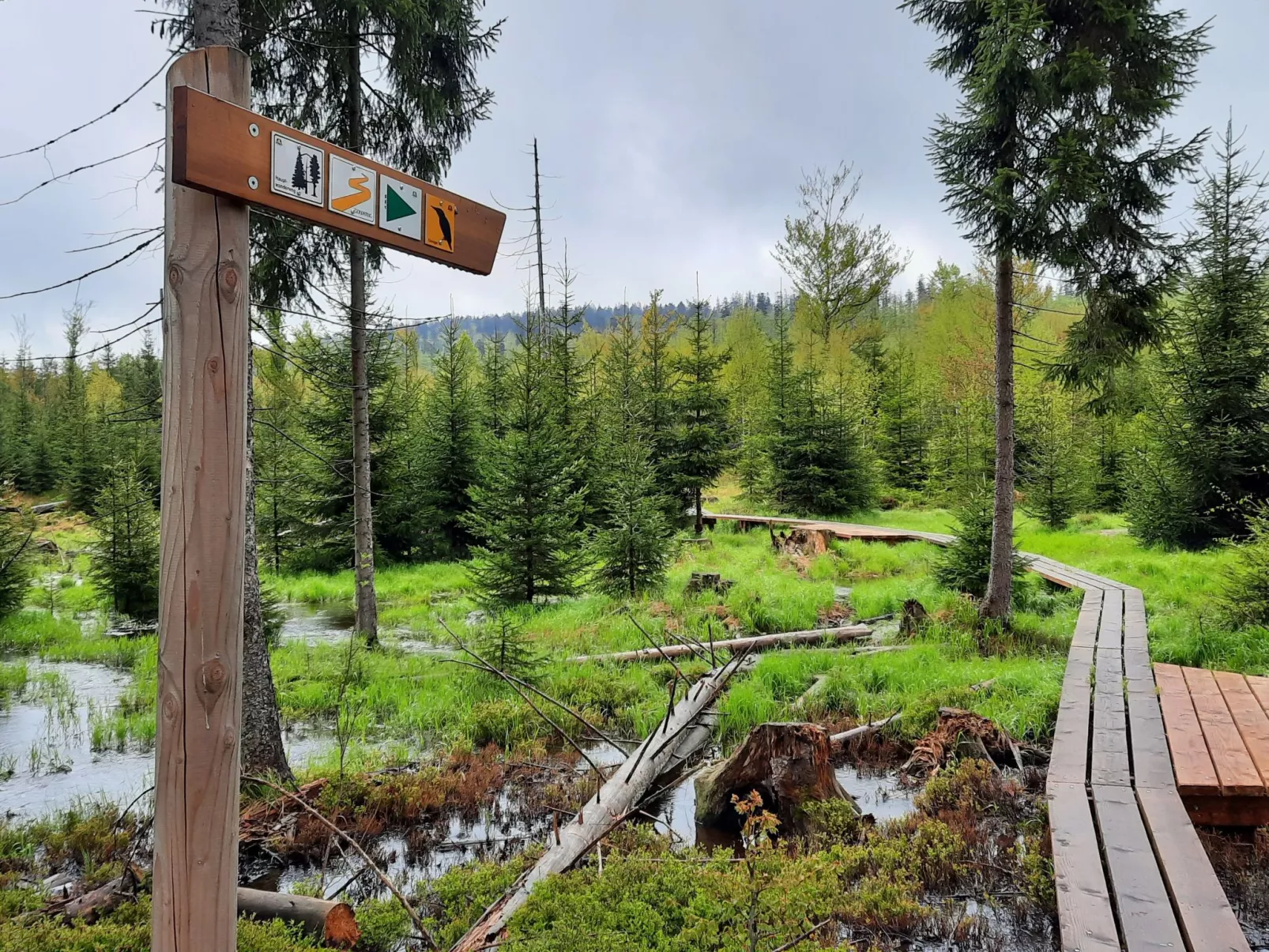 Landhaus Wildfeuer-Outside