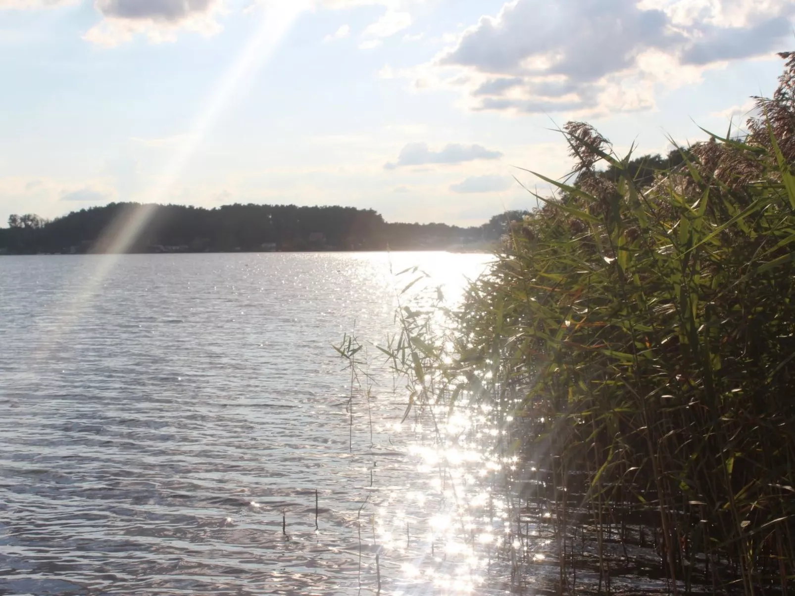 Residenz KrakowerSee-Dehors