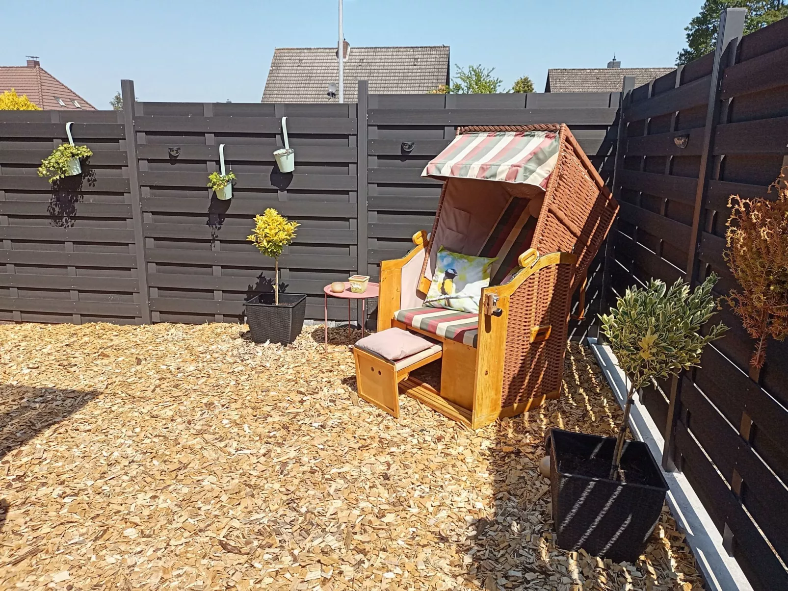 Zwei Finken in Wiesmoor-Outside