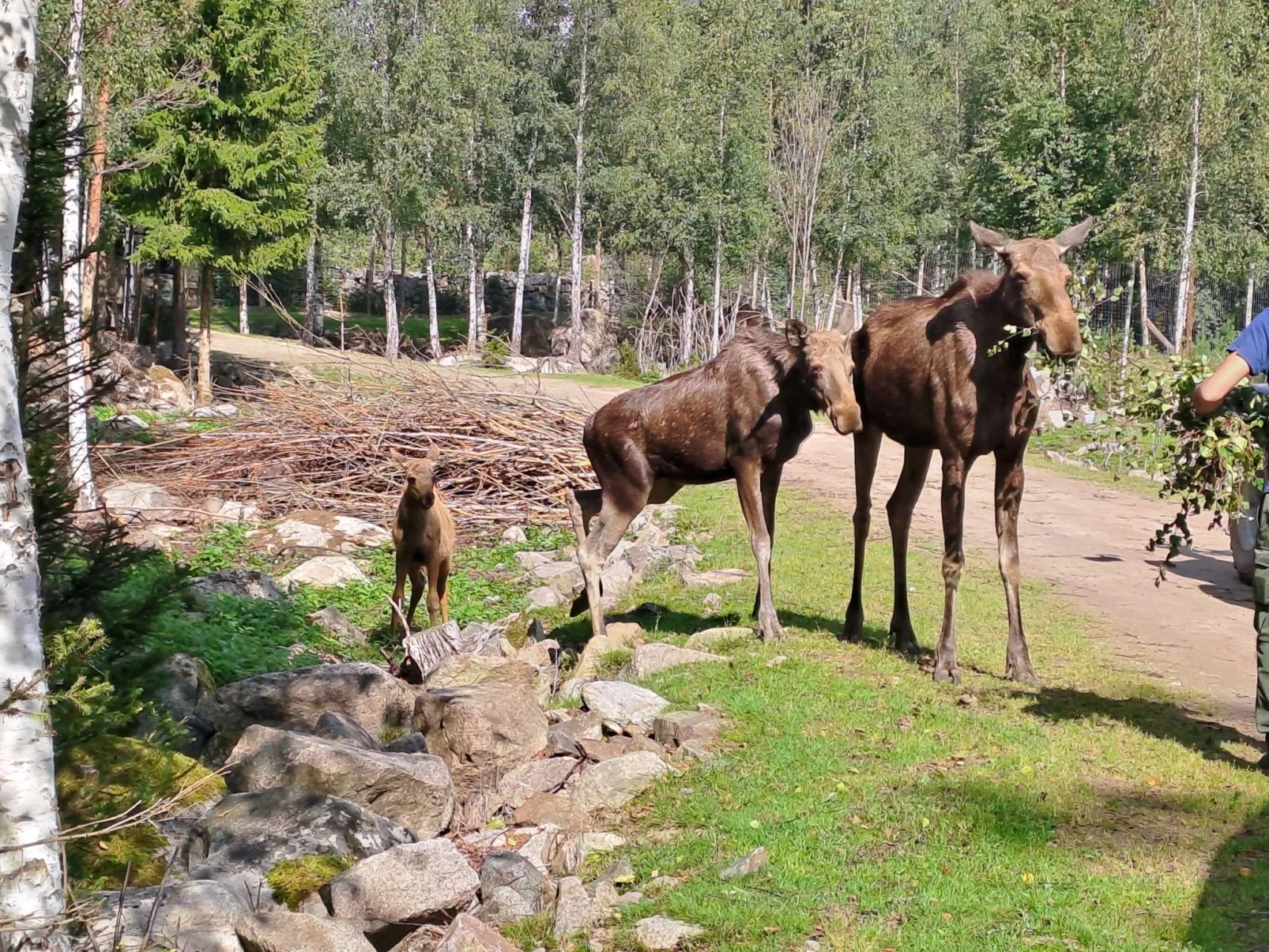 Im Herzen Smålands-Image-tags.info