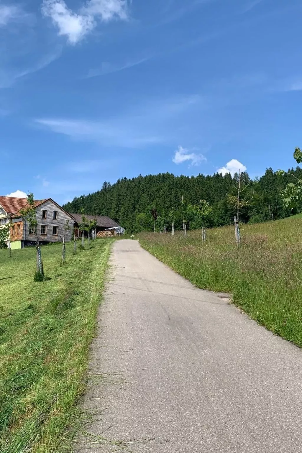 Nirkwerk-Image-tags.info