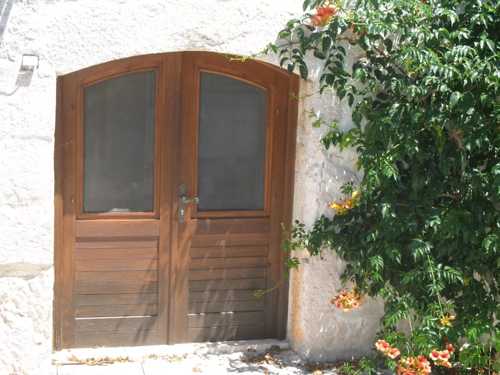 Wohnung in Zavala mit schönem Garten-Outside