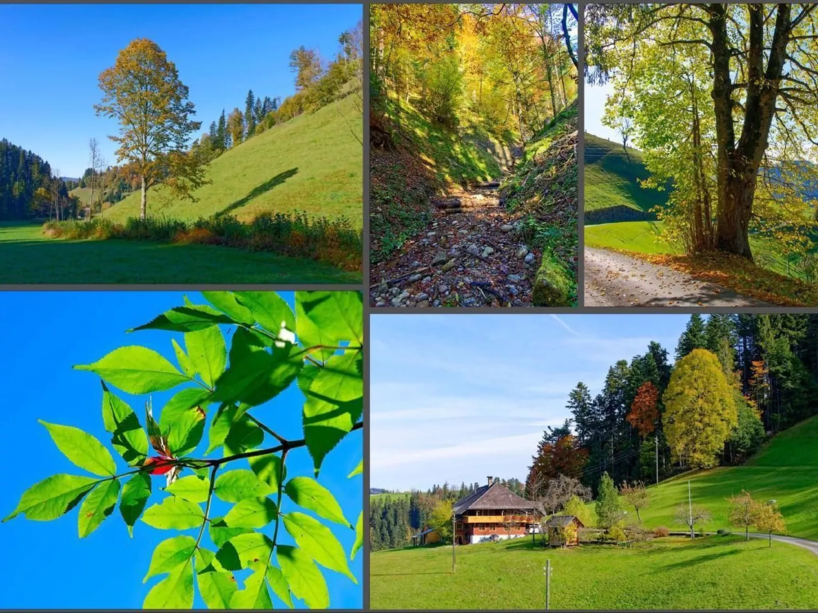 Emmental Ferien-Draußen