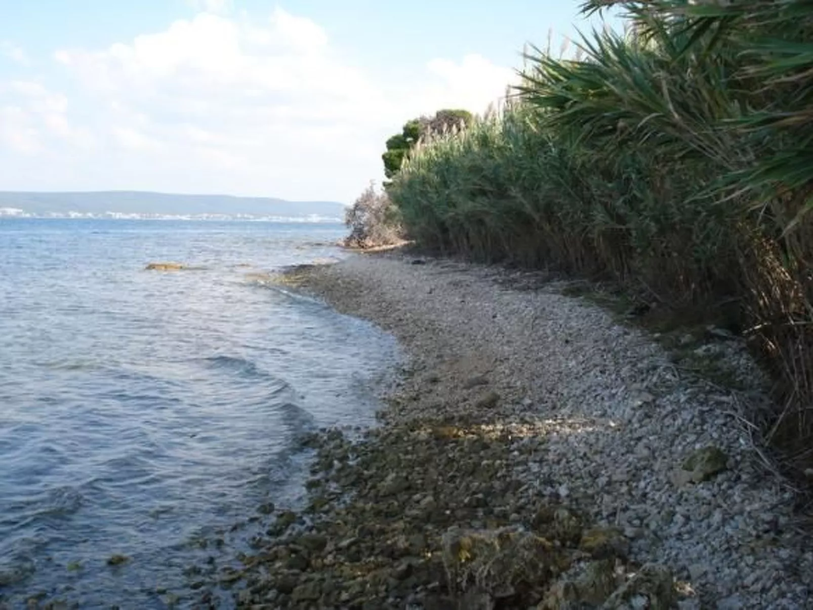 In Dobropoljana mit Freiterrasse-Outside