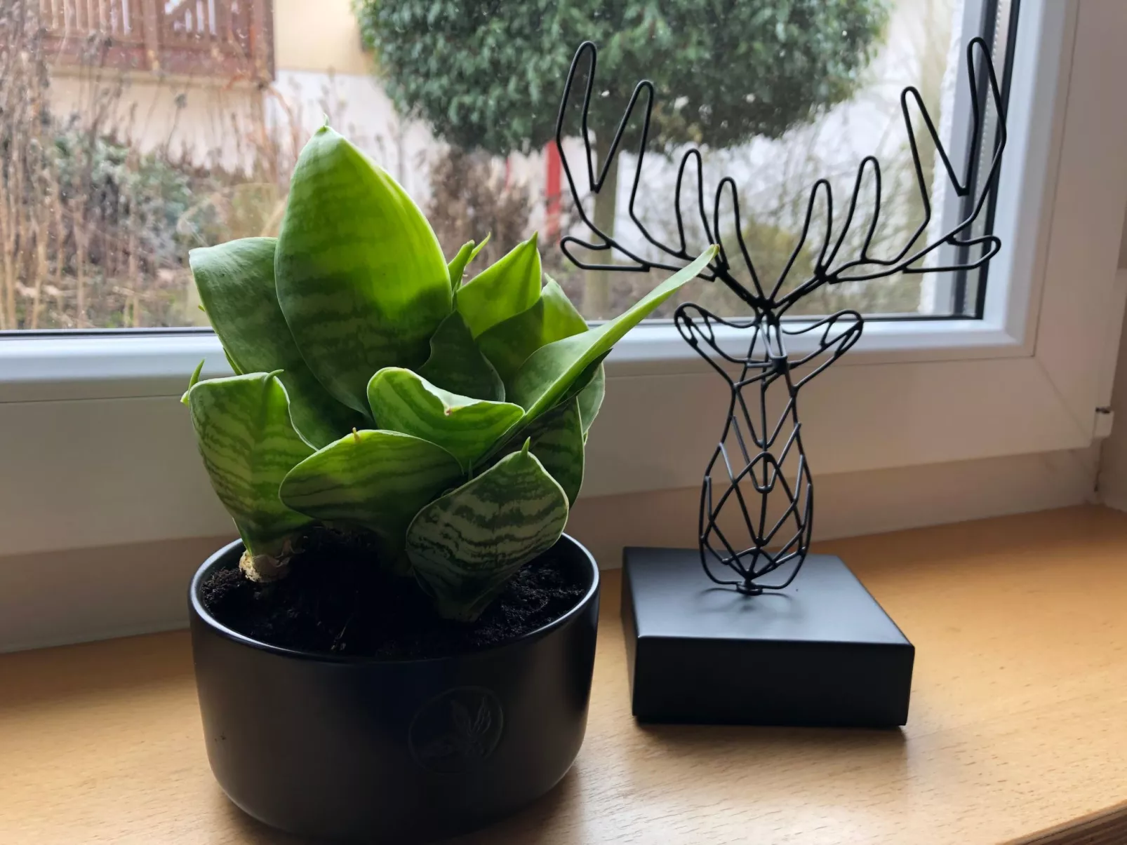 FeWo 5 Jahreszeiten-Inside