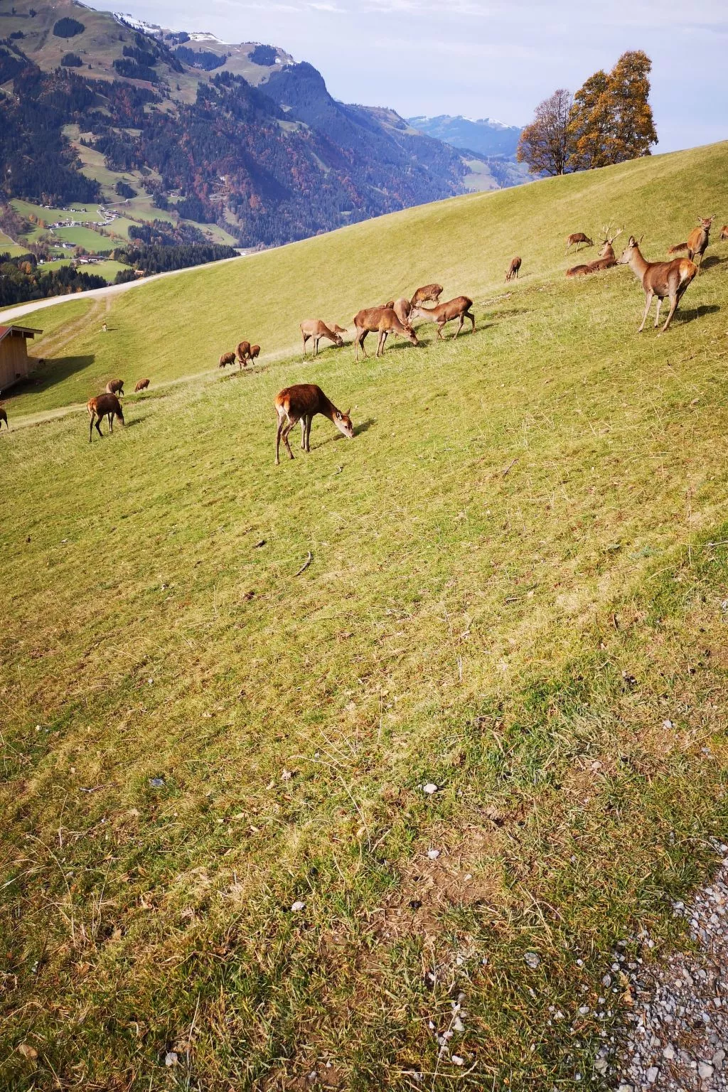 Fewo Rheinfeld-Draußen