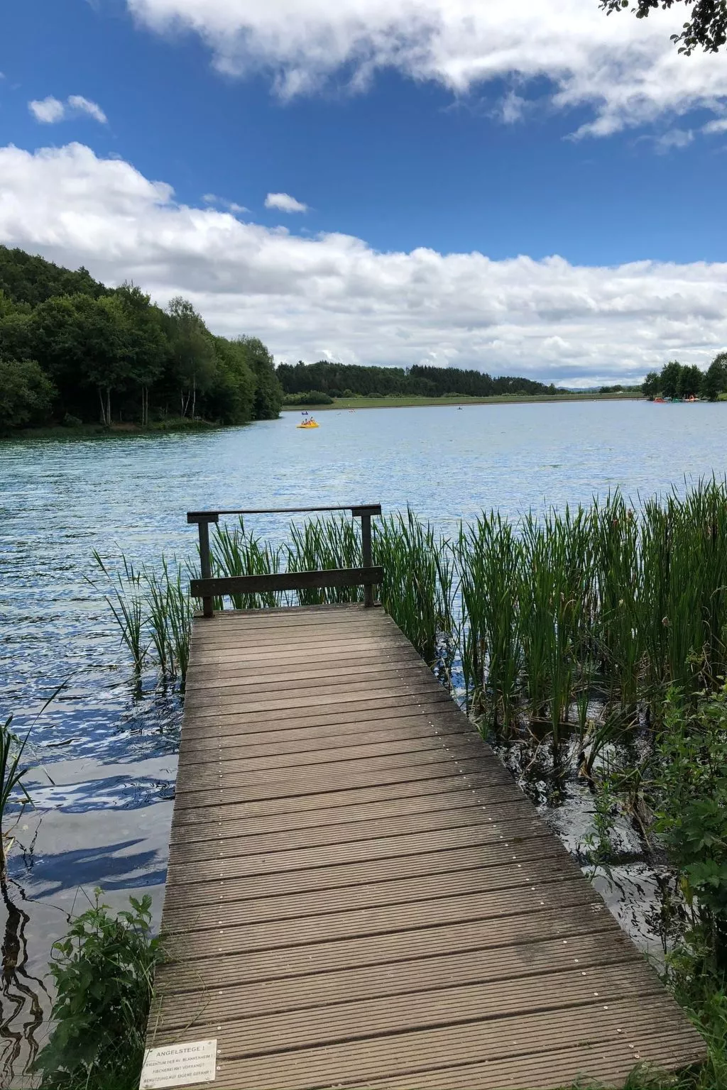 Eifelhäuschen Wald-Outside