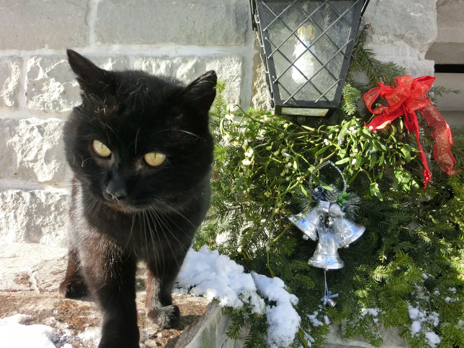 Eulenrast in Loich-Draußen