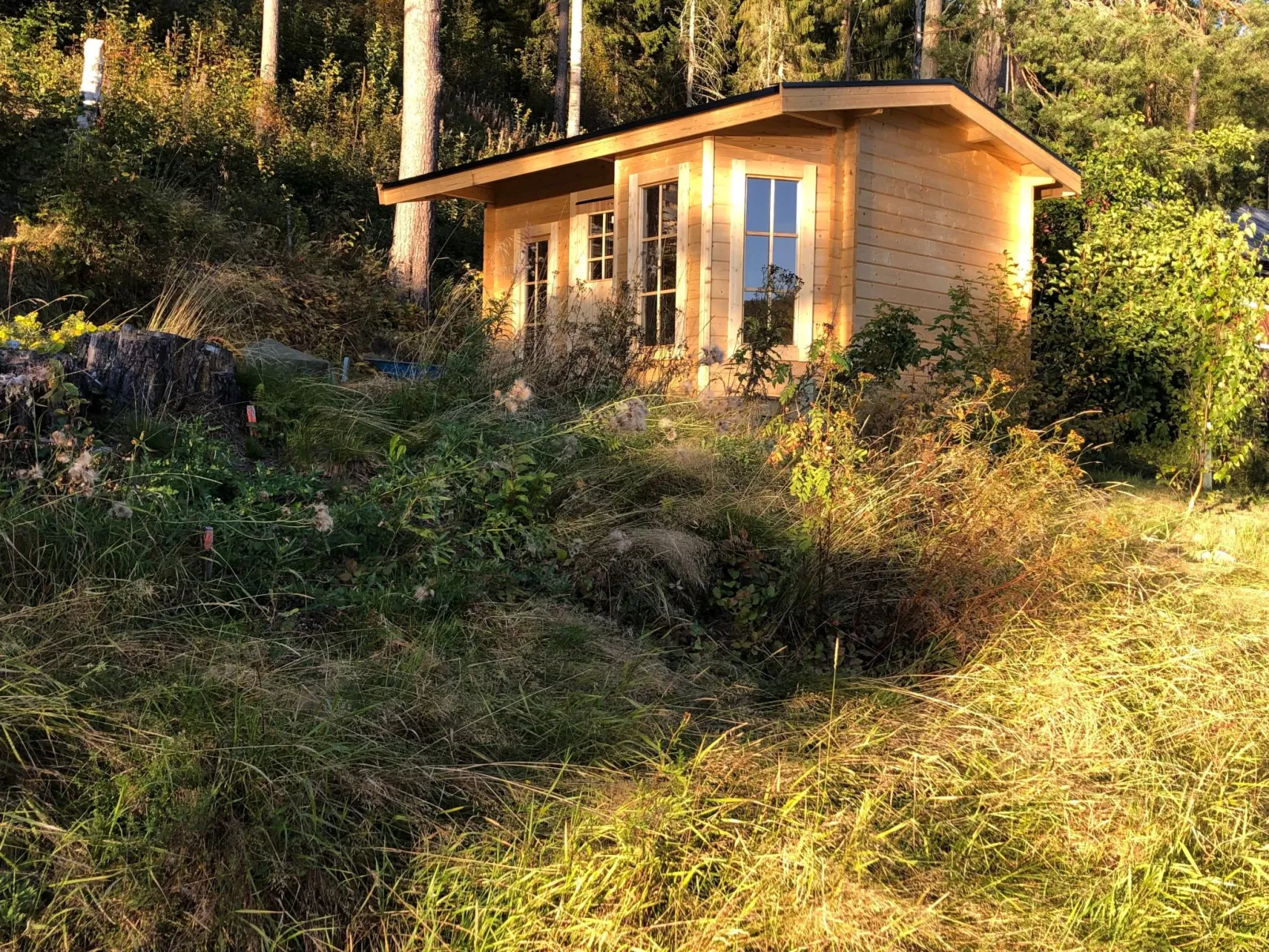 Solbacken Cottage-Draußen