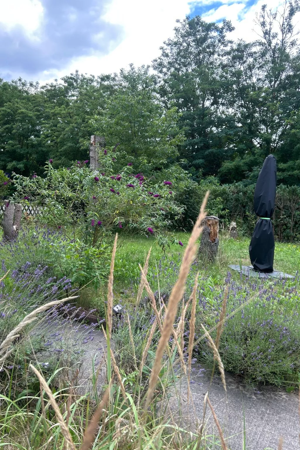 Datscha im Grünen-Draußen