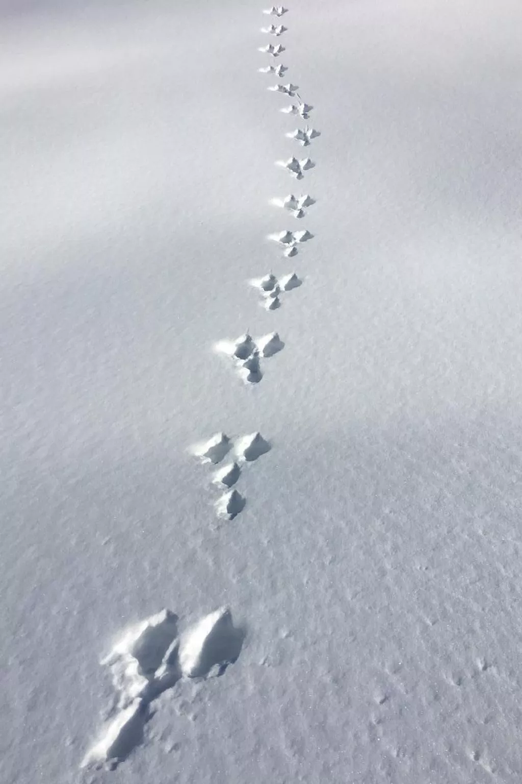 Fewo mit Herz-Image-tags.info