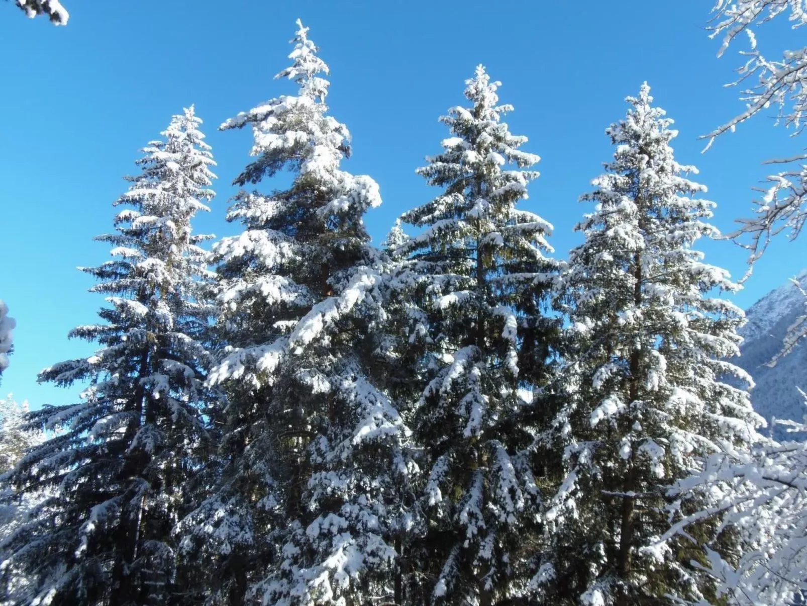 Alte typische Engadinermühle-Draußen