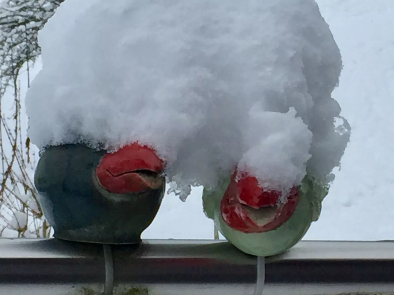 Chalet Bärgblick-Dehors